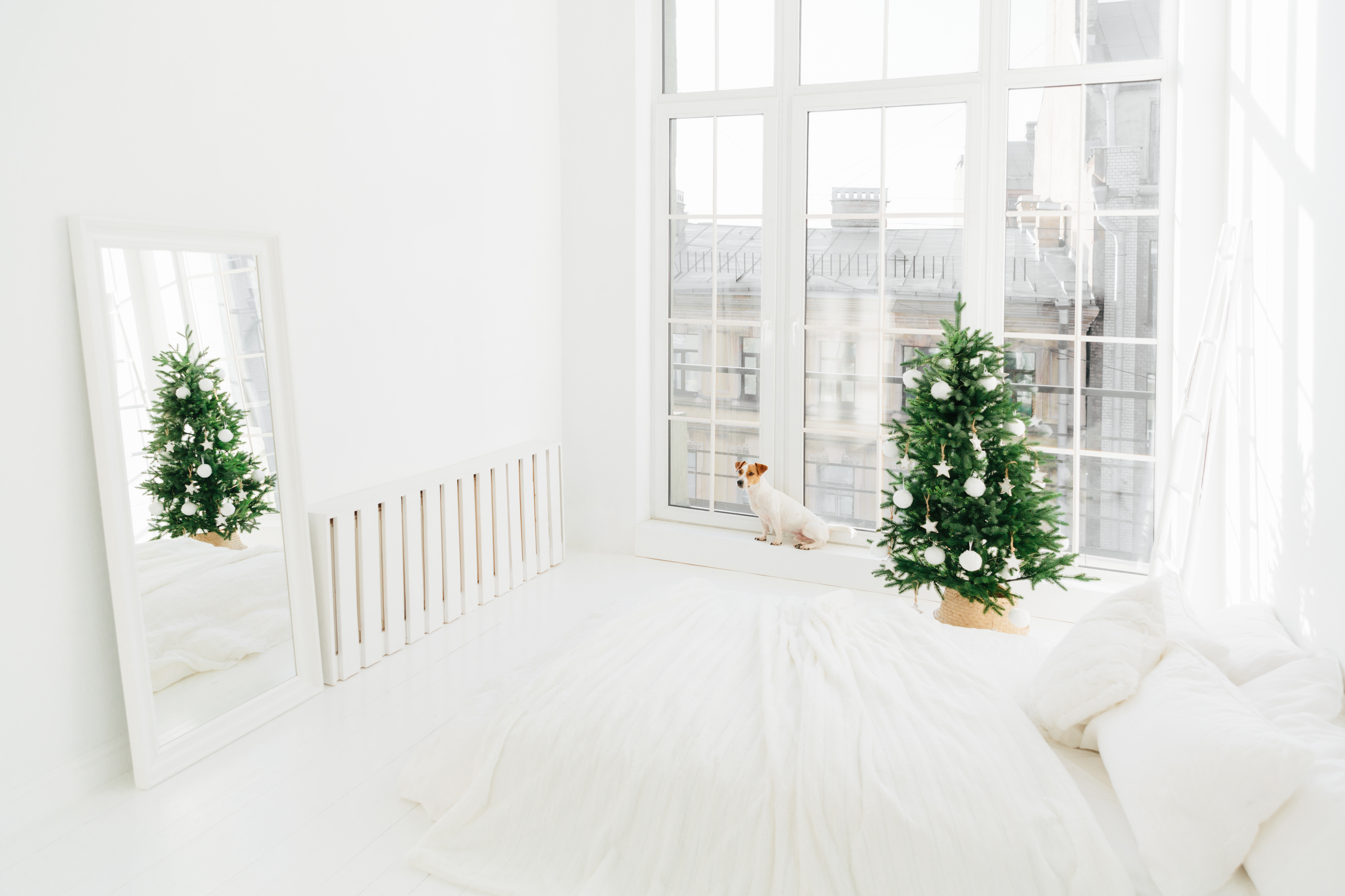 Spacious white bedroom with bed, decorated Christmas tree, mirror and dog on windowsill