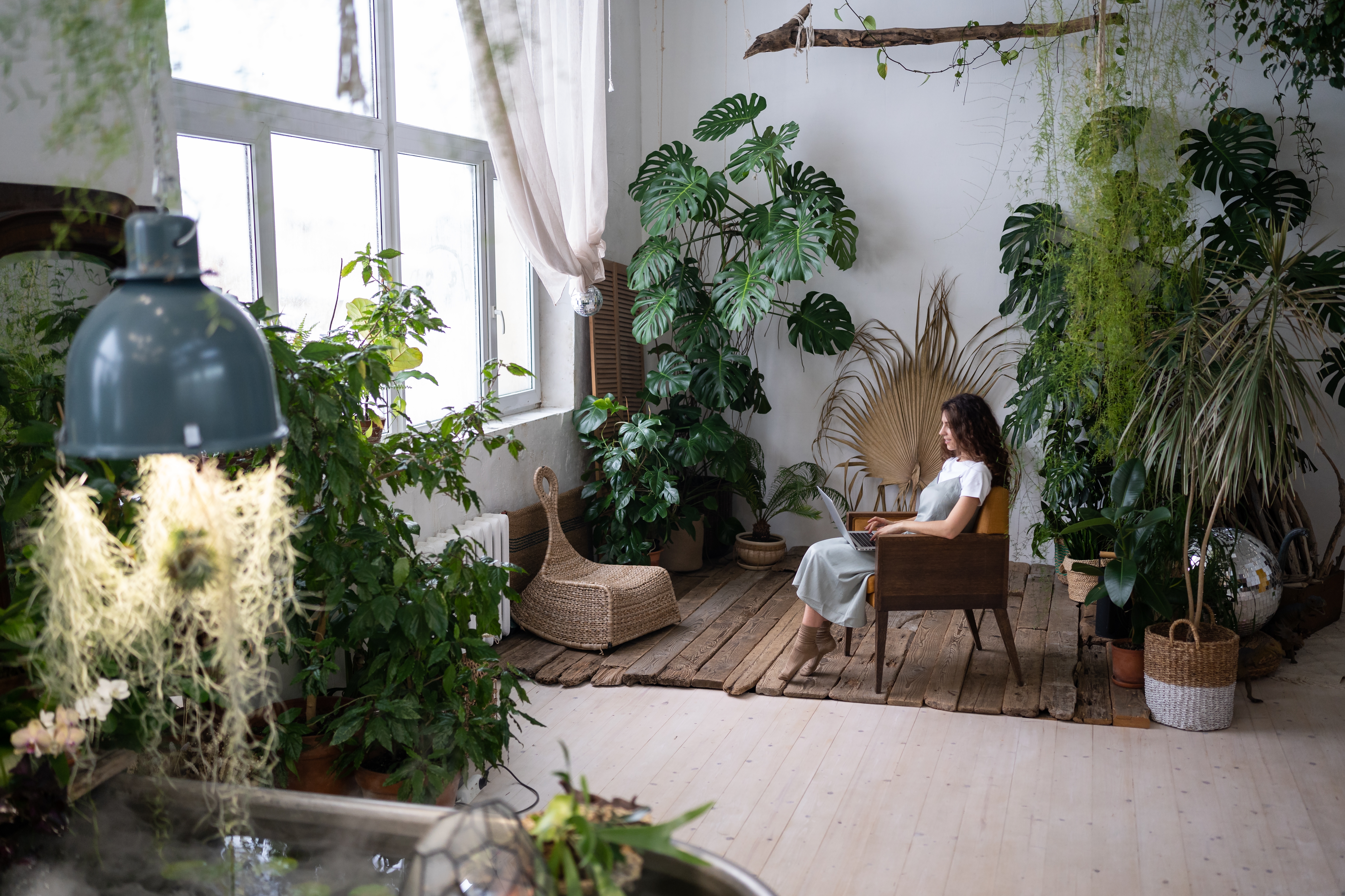 Woman learning about botany online while sitting in inspiring trendy urban jungle home interior